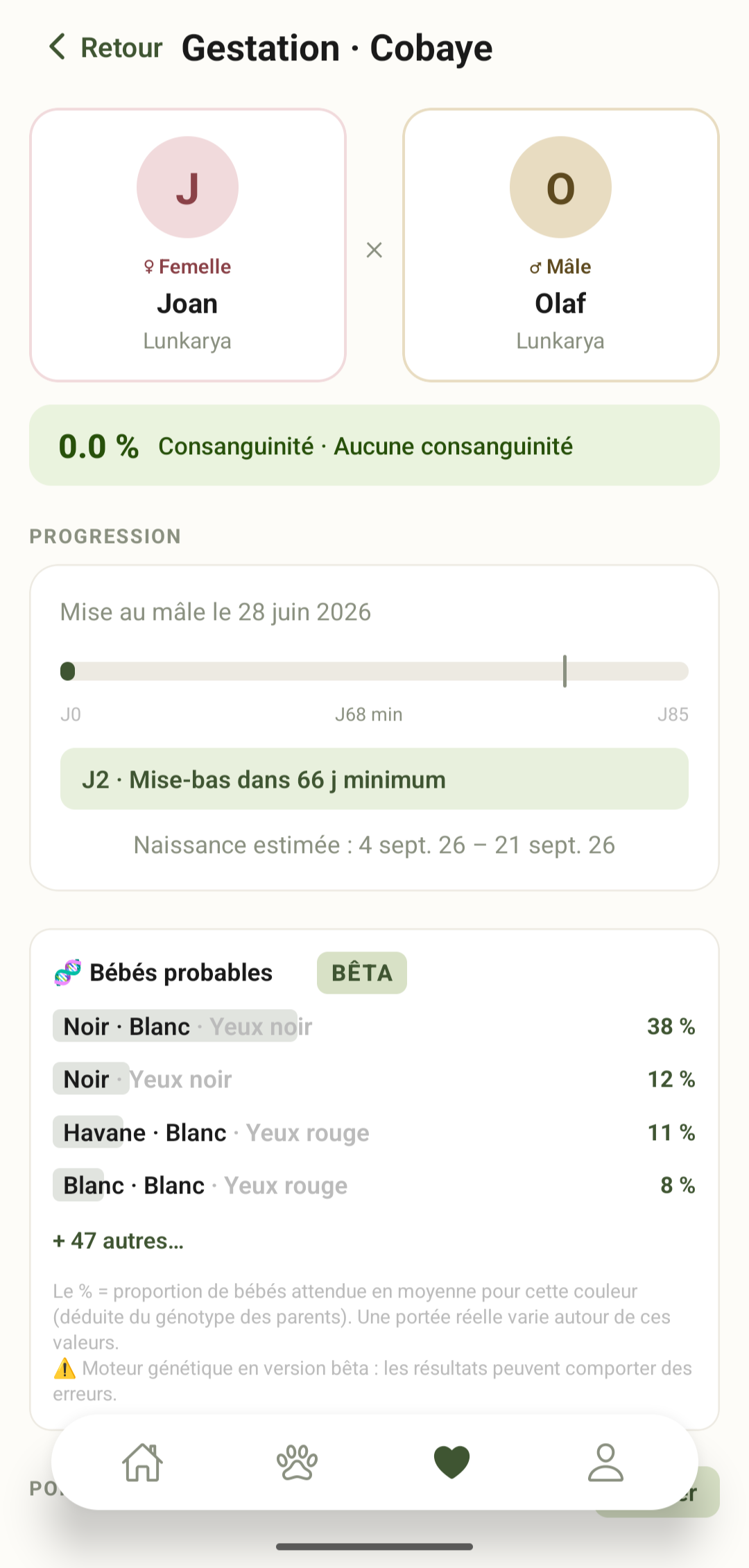 CaviaLink
