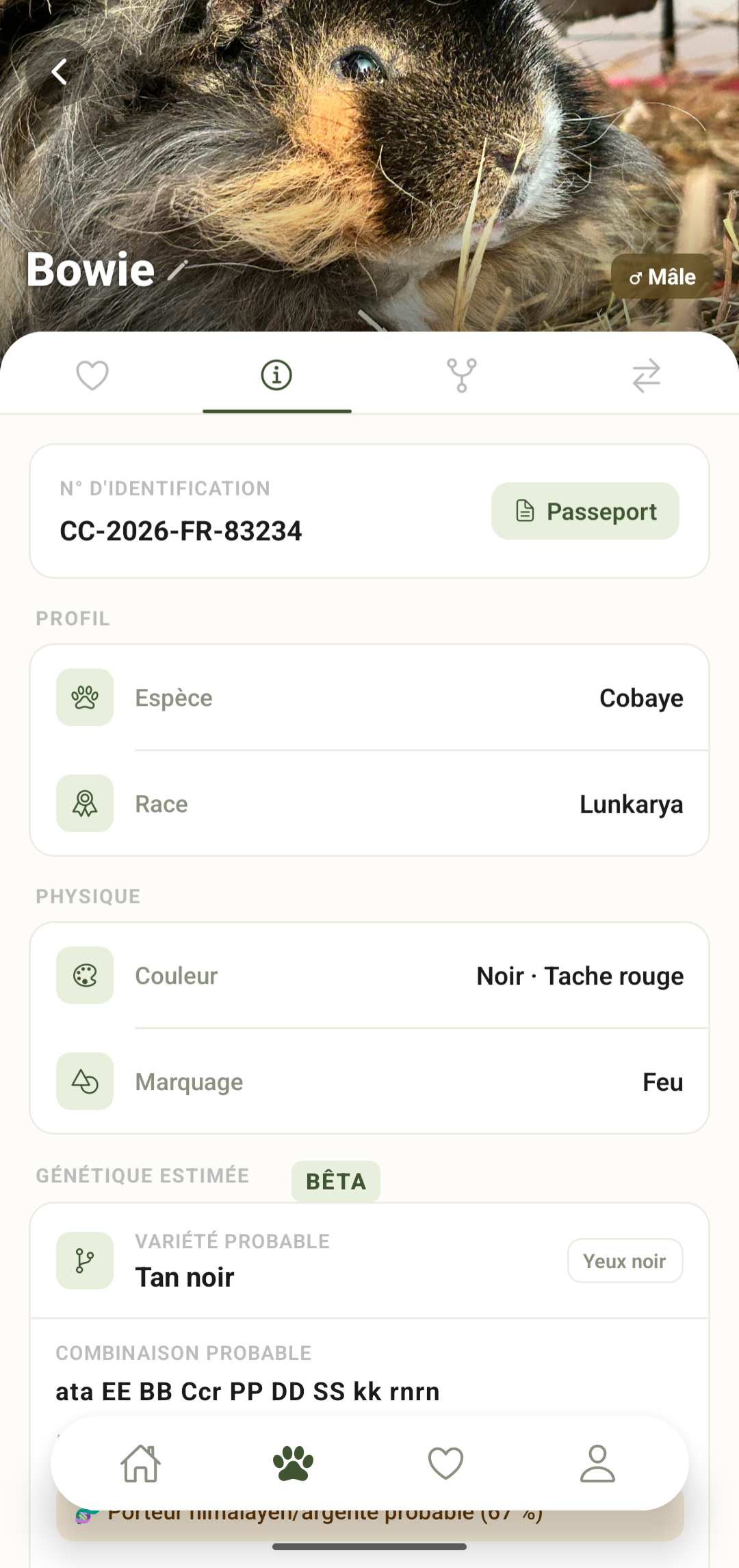 CaviaLink